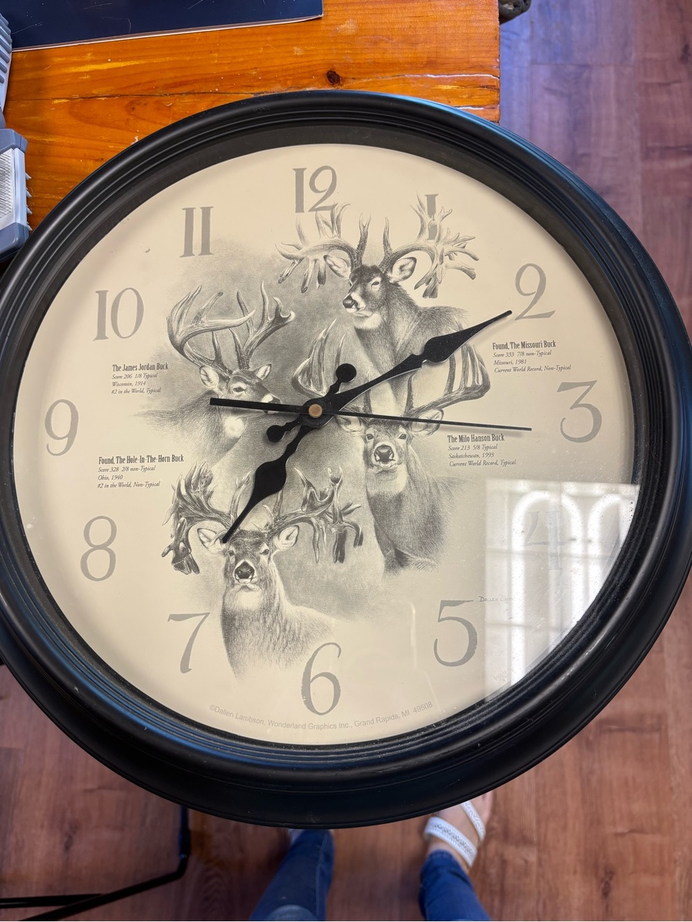 Deer Illustration Wall Clock in Black